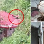 एक बड़ी चट्टान मकान की छत पर आ गिरी.. क्षतिग्रस्त हुआ मकान एक बड़ी चट्टान मकान की छत पर आ गिरी.. क्षतिग्रस्त हुआ मकान