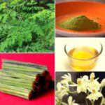 सहजन पौधा पोषक तत्वों का खजाना…कई रोगों के उपचार में उपयोगी