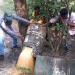 पांवटा विभाग टीम ने 600 लीटर लहन को किया नष्ट…शराब माफिया खिलाफ कार्रवाई पांवटा विभाग टीम ने 600 लीटर लहन को किया नष्ट…शराब माफिया खिलाफ कार्रवाई