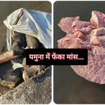 यमुना नदी में कौन फेंक रहा मांस के टुकड़े… धार्मिक भावनाएं हो रही आहत…