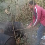 पुलिस ने शराब की भट्टी में लगभग 800 लीटर लाहन की नष्ट पुलिस ने शराब की भट्टी में लगभग 800 लीटर लाहन की नष्ट