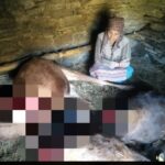 रेणुका में तेंदुए 2 बैल व 1 गाय को बनाया अपना शिकार…