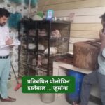 प्रतिबंधित पॉलिथीन पर कार्रवाई खाद्य आपूर्ति इंस्पेक्टर ने किया जुर्माना… प्रतिबंधित पॉलिथीन पर कार्रवाई खाद्य आपूर्ति इंस्पेक्टर ने किया जुर्माना…