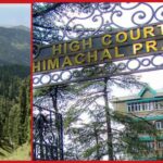 हिमाचल हाईकोर्ट नदी खैर के पेड़ों को काटने की अनुमति.. हिमाचल हाईकोर्ट नदी खैर के पेड़ों को काटने की अनुमति..