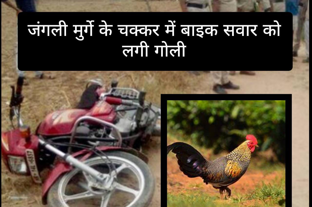 शिकारी ने जंगली मुर्गे के चक्कर में बाइक सवार को मारी गोली… शिकारी ने जंगली मुर्गे के चक्कर में बाइक सवार को मारी गोली…