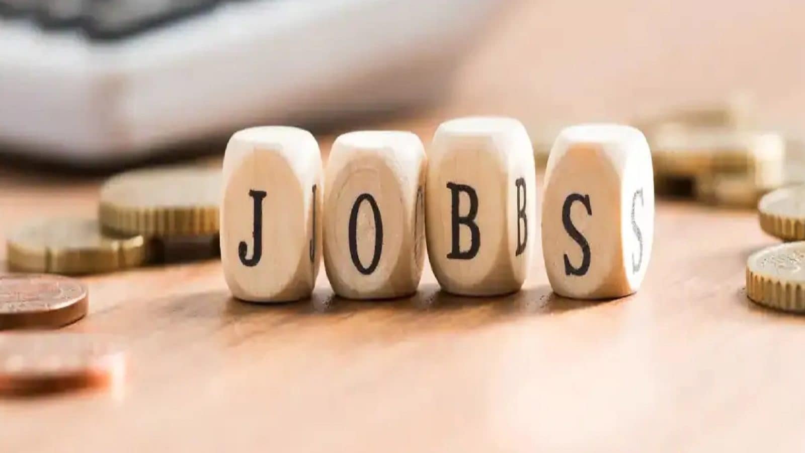 बीडीओ ऑफिस शिलाई में ग्रामीण रोजगार सेवक के 2 पदों पर होगी नियुक्ति