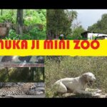 जू घूमने के लिए बैटरी संचालित वाहन और 10 साइकिल होंगी संचालित…