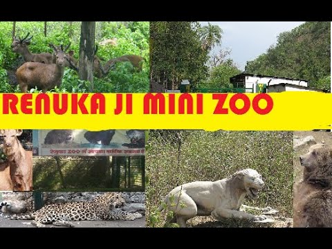 जू घूमने के लिए बैटरी संचालित वाहन और 10 साइकिल होंगी संचालित… जू घूमने के लिए बैटरी संचालित वाहन और 10 साइकिल होंगी संचालित…