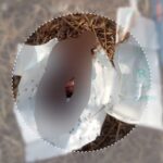 सिविल अस्पताल में मिला शौचालय में भ्रूण…अस्पताल में फैली सनसनी