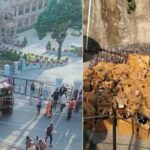 स्कूल रोड के सामने पलटा शराब से भरा ट्रक कई स्कूल बंद… चालक मौके से फरार… स्कूल रोड के सामने पलटा शराब से भरा ट्रक कई स्कूल बंद… चालक मौके से फरार…