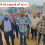 हिमाचल प्रदेश की टॉप अनाज मंडी के हाल, किसनों की धान की फसल हो रही खराब….