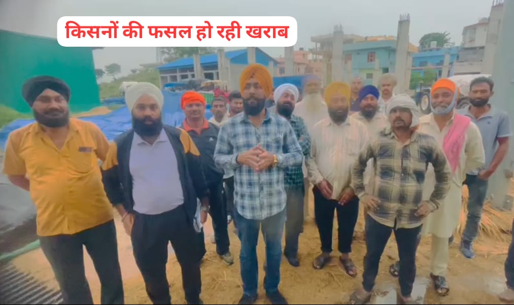 हिमाचल प्रदेश की टॉप अनाज मंडी के हाल, किसनों की धान की फसल हो रही खराब….