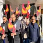 जंगली मुर्गे को लेकर फिर तपा तपोवन….भाजपा कांग्रेस दोनों अपने-अपने मुद्दों को लेकर धरने पर…. जंगली मुर्गे को लेकर फिर तपा तपोवन….भाजपा कांग्रेस दोनों अपने-अपने मुद्दों को लेकर धरने पर….