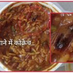 पांवटा साहिब…खाने में परोसे जा रहे कॉकरोच….ढ़ाबों में रसोईघरों के बुरे हाल…