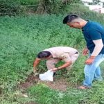 यहां की जा रही थी भांग की खेती.. पुलिस ने किया गिरफ्तार…. यहां की जा रही थी भांग की खेती.. पुलिस ने किया गिरफ्तार….