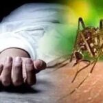 डेंगू की चपेट में आने से सिरमौर के 16 वर्षीय किशोर की मौत….