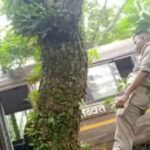 10 जवानों को ले जा रही आइटीबीपी की बस अनियंत्रित हो खाई में गिरी…