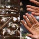 291 ग्राम चरस के साथ युवक गिरफ्तार… मामले की जांच में जुटी पुलिस 291 ग्राम चरस के साथ युवक गिरफ्तार… मामले की जांच में जुटी पुलिस