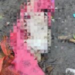 डंपिंग साइड में मिला फीमेल नवजात का शव…