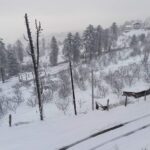 ताजा हिमपात के कारण बसों-वाहनों की आवाजाही बंद..