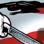 प्रधानाचार्य देवर ने किया भाभी पर दराट से हमला…बेरहमी से कर दी हत्या