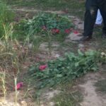 यहां की जा रही थी अफीम की अवैध खेती पुलिस ने किया एक व्यक्ति को गिरफ्तार…. यहां की जा रही थी अफीम की अवैध खेती पुलिस ने किया एक व्यक्ति को गिरफ्तार….