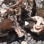 पांवटा उत्तराखंड सीमा पर मिले गोवंश के अवशेष…हिंदू संगठनों में भारी आक्रोश…. पांवटा उत्तराखंड सीमा पर मिले गोवंश के अवशेष…हिंदू संगठनों में भारी आक्रोश….