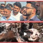 गोवंश हत्या मामले में पुलिस ने दो लोगों को लिया हिरासत में…तीन पूछताछ के लिए बिठाए गोवंश हत्या मामले में पुलिस ने दो लोगों को लिया हिरासत में…तीन पूछताछ के लिए बिठाए