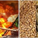 अनावश्यक रुप से खाद्यानों का भण्डारण न करें…घबराहट में अतिरिक्त खरीददारी से बचें…