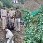 Police ने किए 560 अफीम के पौधे बरामद…नशे को ना कहें और जीवन को हाँ…