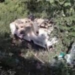 हिमाचल में बड़ा बस हादसा, 35 लोग घायल, 7 की हालत गंभीर… हिमाचल में बड़ा बस हादसा, 35 लोग घायल, 7 की हालत गंभीर…