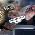 सांप दंश से गई 20 वर्षीय युवक की जान… पढ़े कैसे गई जान… सांप दंश से गई 20 वर्षीय युवक की जान… पढ़े कैसे गई जान…