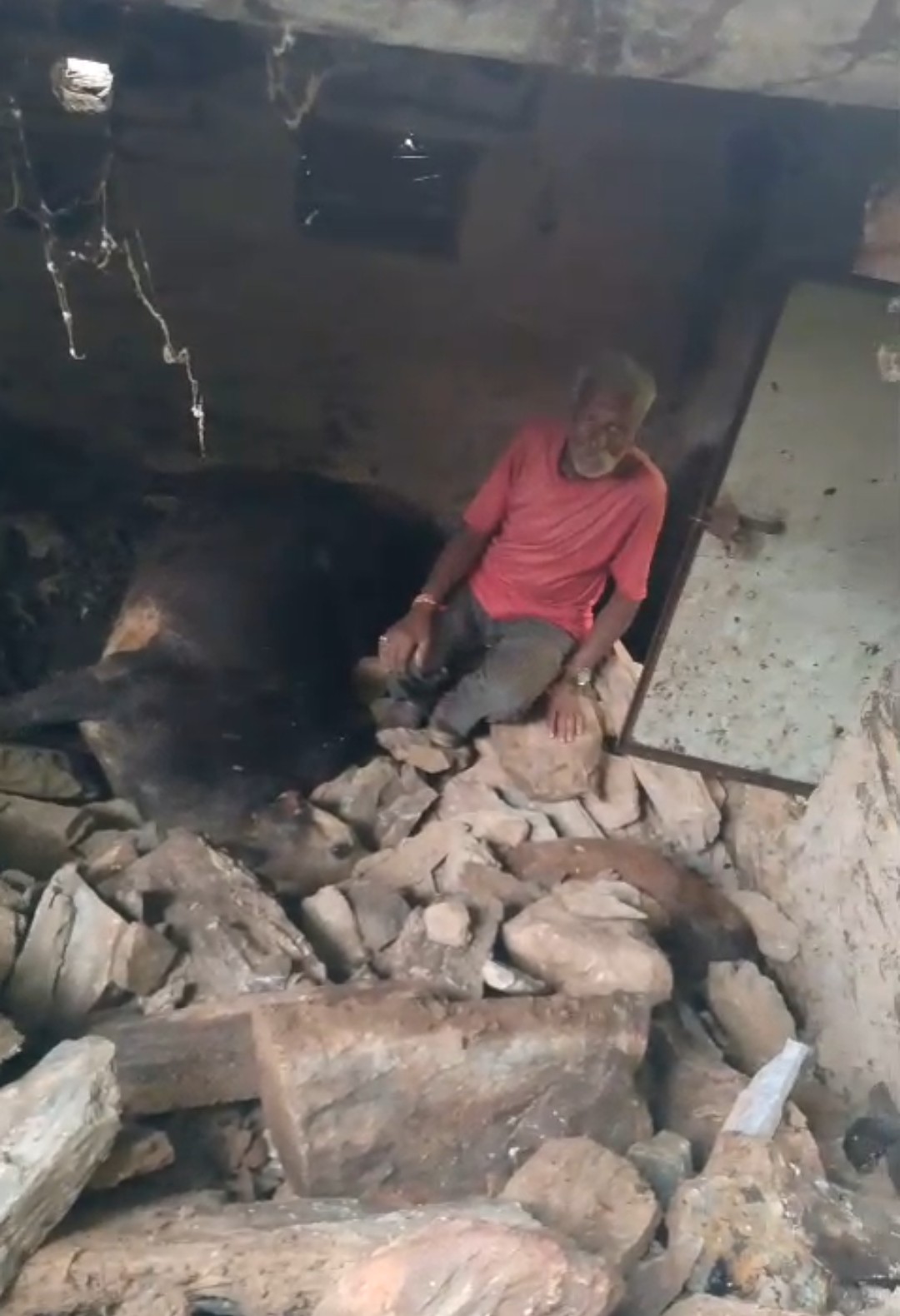 संगड़ाह के साथ लगते टिकरी गांव में पशुशाला गिरने से दबकर मरे 2 बैल…