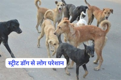 स्ट्रीट डॉग्स से आदर्श कॉलोनी के लोग परेशान…एसडीएम और एमसी से लगाई समाधान की गुहार… स्ट्रीट डॉग्स से आदर्श कॉलोनी के लोग परेशान…एसडीएम और एमसी से लगाई समाधान की गुहार…