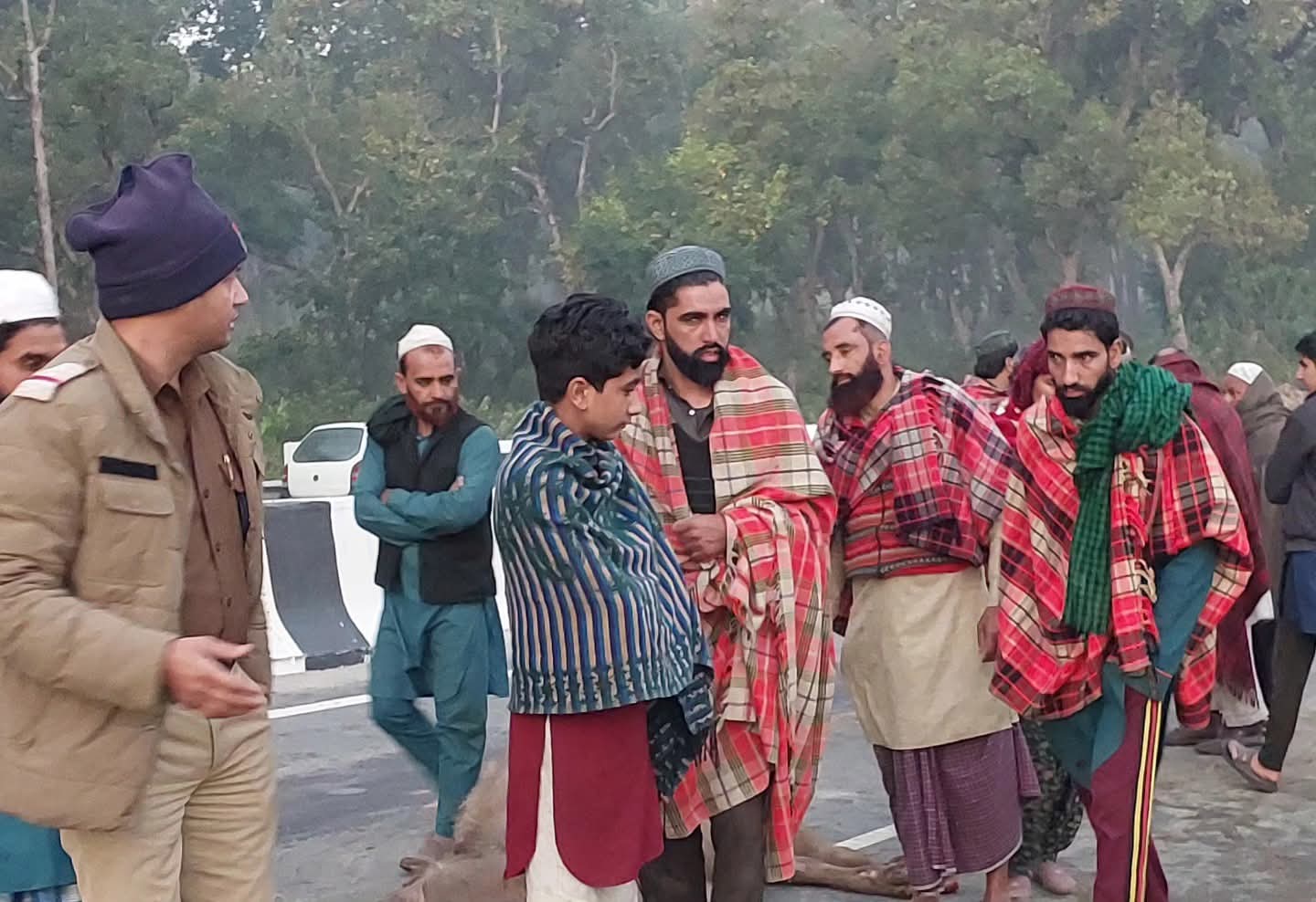 देहरादून-पांवटा हाईवे (NH-7)पर दर्दनाक हादसा…ट्रकों ने वन गुर्जरों के पशुओं को बेरहमी से कुचल