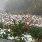 ओलावृष्टि से सेब बागवानों और किसानों को करोड़ों का नुकसान..